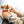Load image into Gallery viewer, Amagami Ham Ham Apo Interactive Robot Plush Toy
