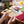 Load image into Gallery viewer, Yukai Engineering Creature Robot Kit DIY
