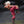 Load image into Gallery viewer, S.H.Figuarts Dragon Ball Super Saiyan Son Goku Genkida Matsuri Ed. Figure
