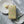 Load image into Gallery viewer, Hobonichi Techo 2027 minä perhonen skyful Yellow Weeks Cover
