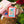 Load image into Gallery viewer, Yumi Kitagishi Shiro Neko &amp; Rabbit Tea Time Hobonichi HON A6 Daily Planner 2027
