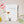 Load image into Gallery viewer, Leo Lionni Frederick Sun Hobonichi Techo Original A6 Cover
