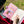 Load image into Gallery viewer, Yumi Kitagishi Shiro Neko Village Hobonichi Techo Cover Cousin A5 Size
