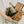Load image into Gallery viewer, Hobonichi Techo 2027 Tragen Oak Moss Weeks Cover
