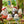 Load image into Gallery viewer, Sylvanian Families Long Tailed Tit Family 5 Piece Fluffy Bird Figure Set
