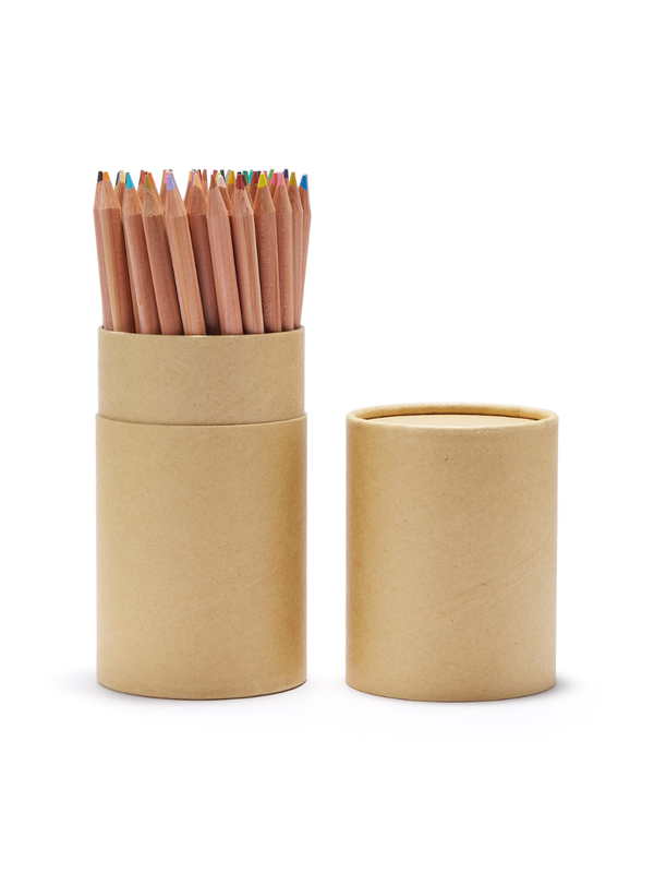 Muji 60 Color Pencil Set in Paper Tube Case