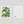 Load image into Gallery viewer, Hobonichi 5-Year Techo 2027-2031 Gift Set haconiwa Embroidered Cover A5
