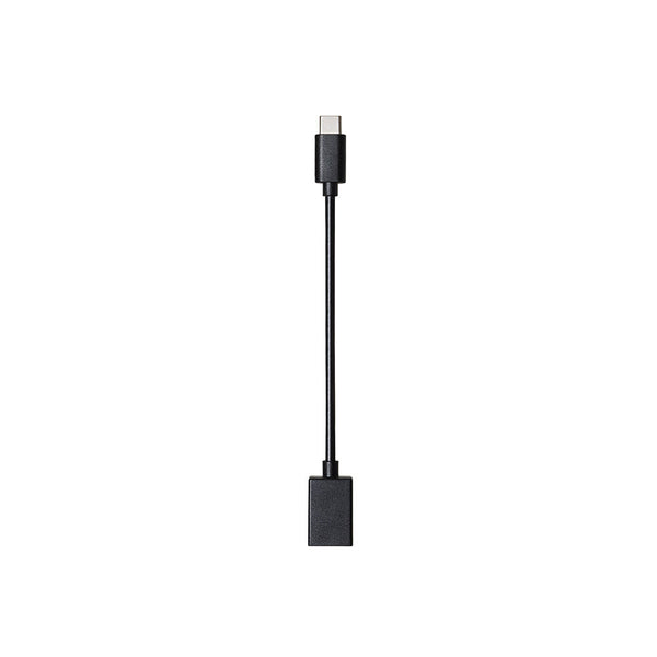 Audio-Technica ATH-202USB USB In-Ear Headset with Noise-Canceling Microphone
