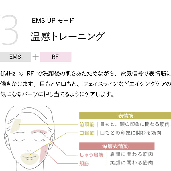 YA-MAN Tokyo Japan RF Beauty Device Photo Plus