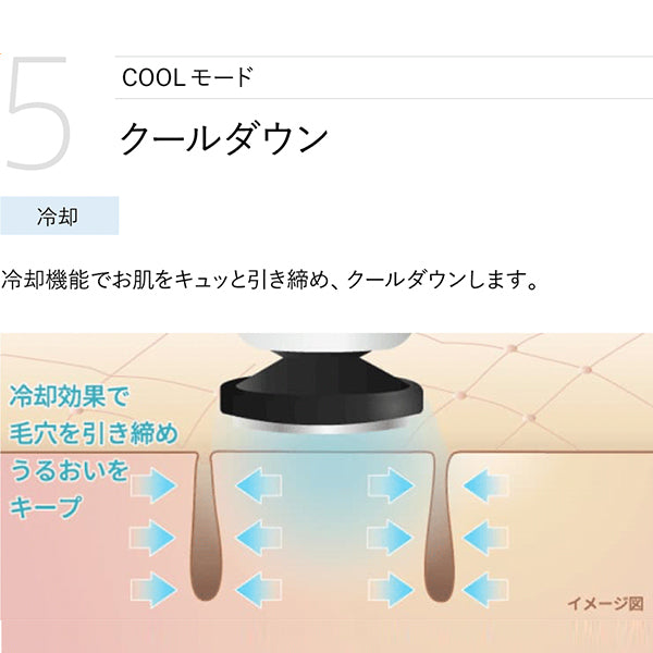 YA-MAN Tokyo Japan RF Beauty Device Photo Plus