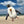 Load image into Gallery viewer, Jellycat Chip Seagull Plush Toy
