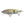 Load image into Gallery viewer, DRT TiNY KLASH Please choose a color 2oz Big Swimbait Low Float
