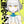 Load image into Gallery viewer, DAIAKUTOU SHONEN Manga Vol.1–3 Set Japanese Gangan Comics
