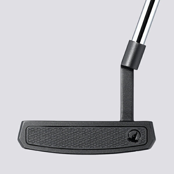 Honma SAKATA LAB Putter Blade Mallet Neo-Mallet Horn or Pin Type Golf Club