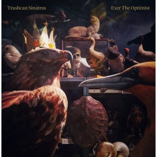 Trashcan Sinatras Ever the Optimist CD Album